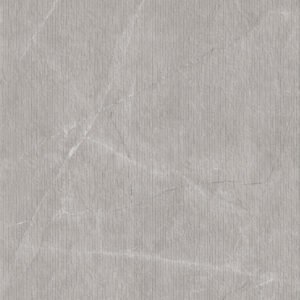 Pacific Gris- Figura